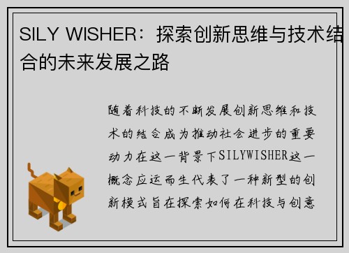 SILY WISHER：探索创新思维与技术结合的未来发展之路